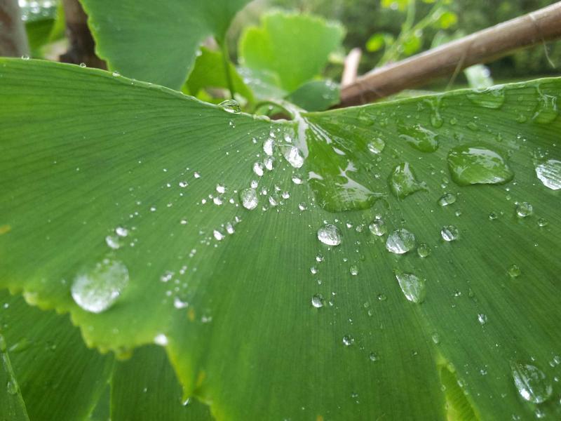 心经解码<br>qyf5seag.cn 般若波罗蜜多